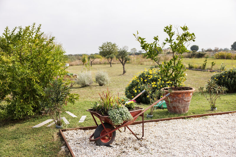 Il Noce — appartamento vacanze a Misano Adriatico — foto 12